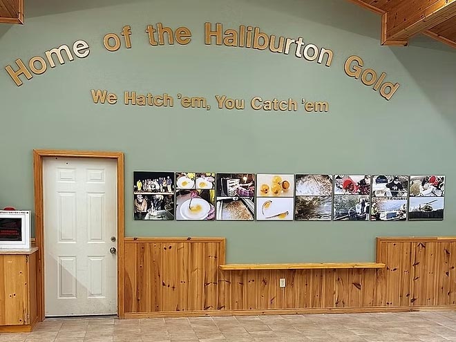 Hall Cropped
